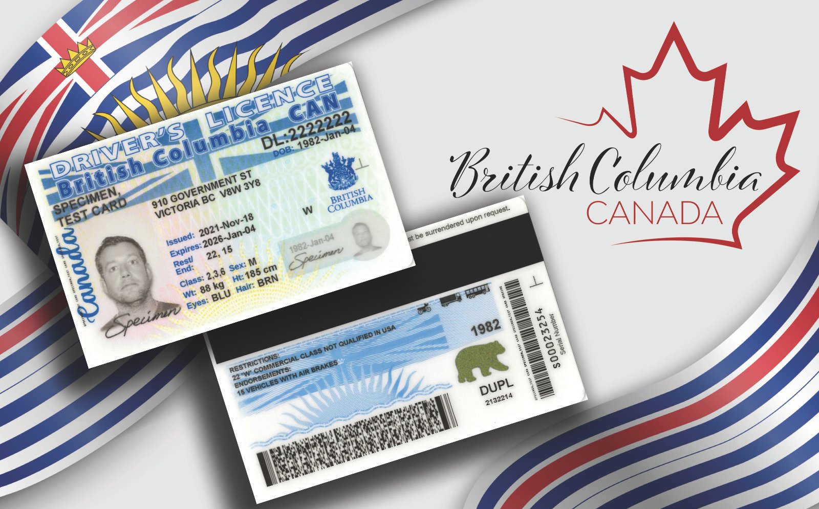 BC drivers license fast and easy process