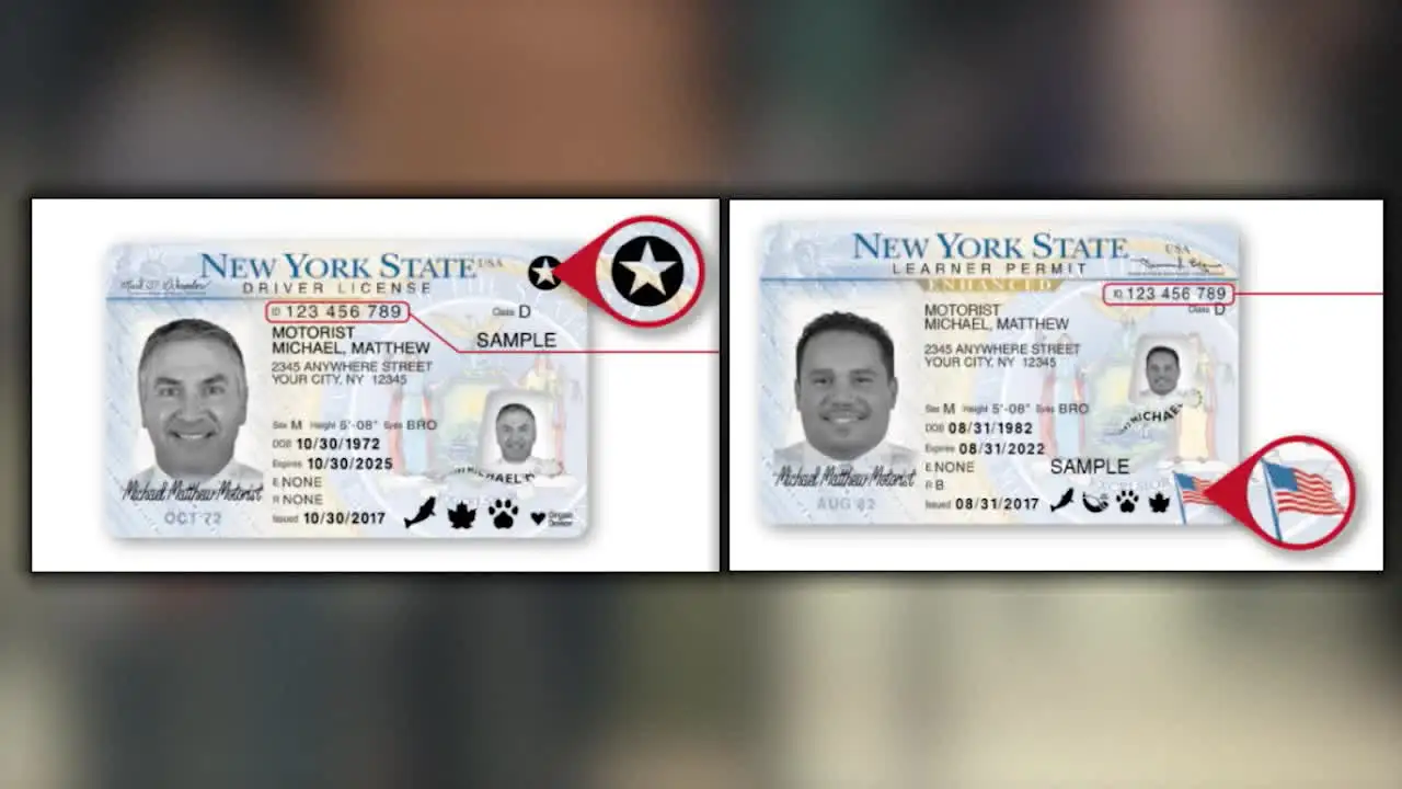 Enhanced driver license with advanced security features