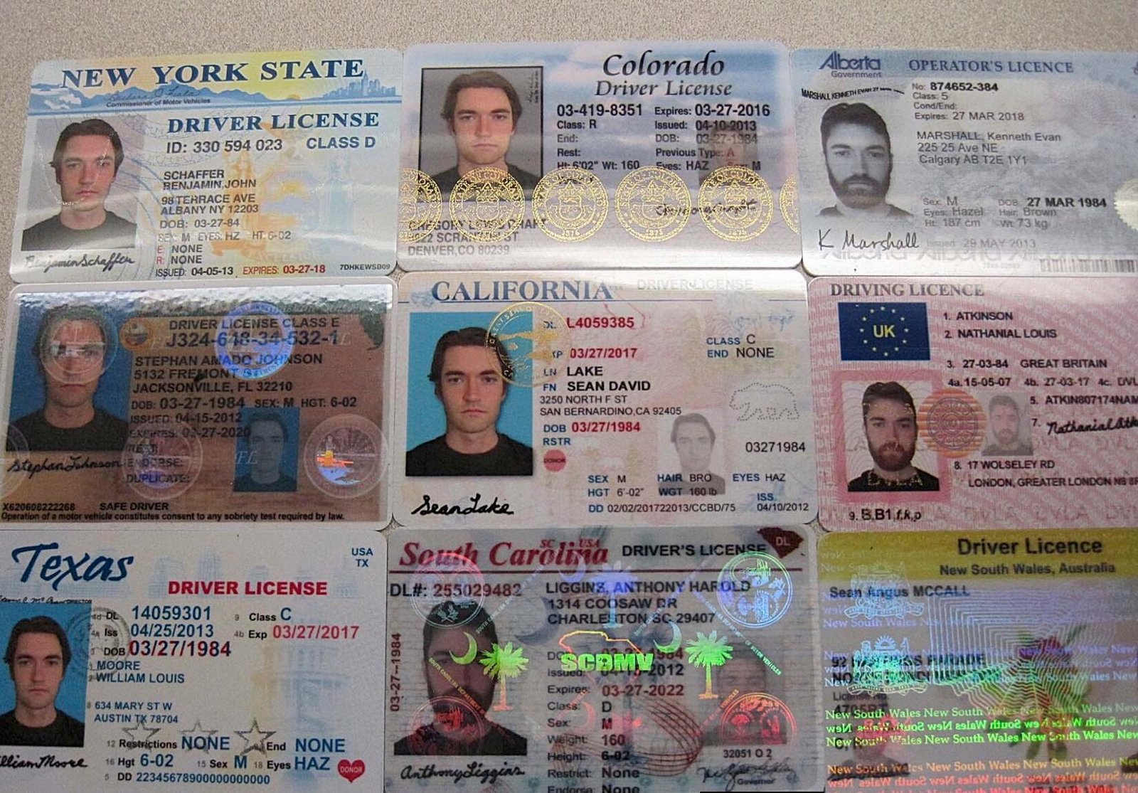 Fake ID card compared with fake drivers license replica