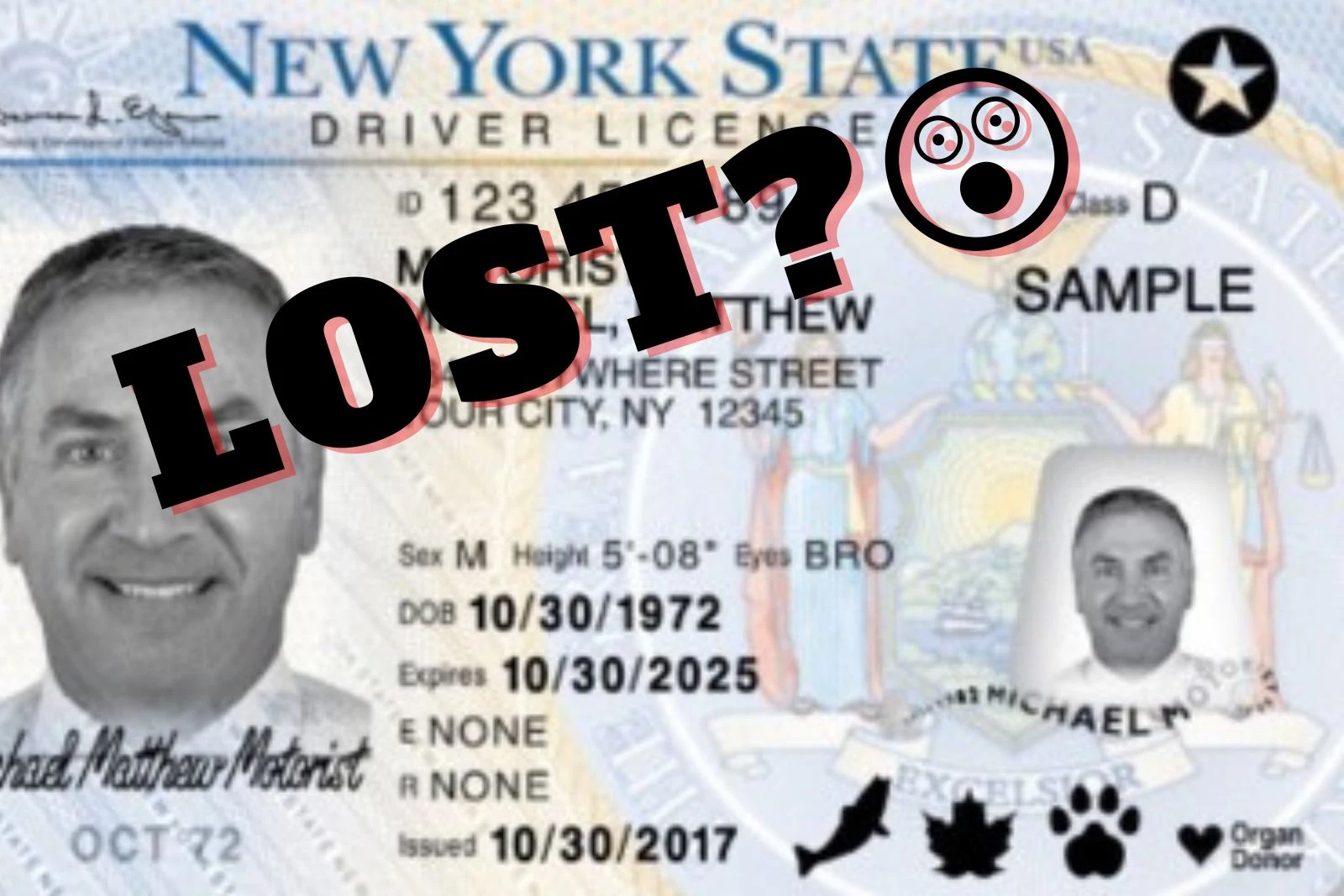 Lost driver license what to do immediately