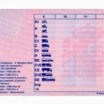 información sobre carnet de conducir en Europa