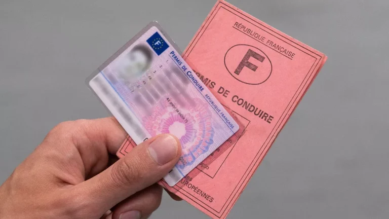 Vérification du nombre de points sur un permis de conduire en Europe