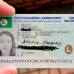 conas iarratas a dhéanamh ar cheadúnas foghlaimeora in Éirinn