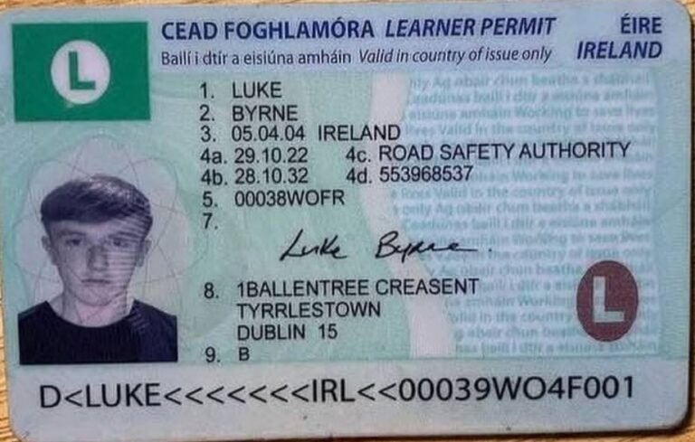 conas ceadúnas foghlaimeora a fháil in Éirinn