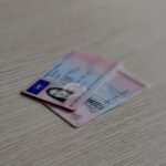 provjeriti status vozačke dozvole online