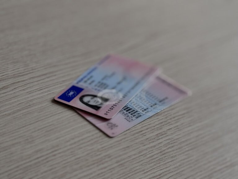 provjeriti status vozačke dozvole online