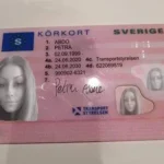 förnyelse av körkort online