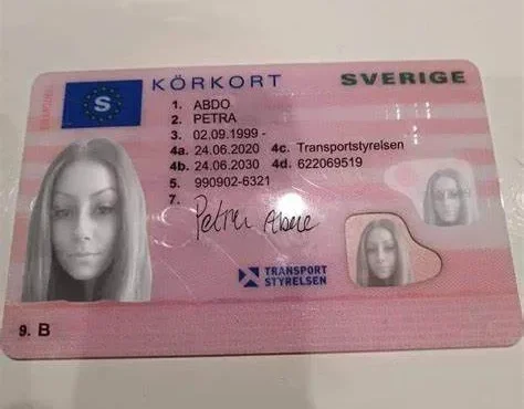 förnyelse av körkort online