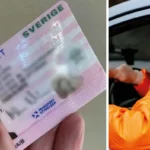 förnya körkort snabbt online