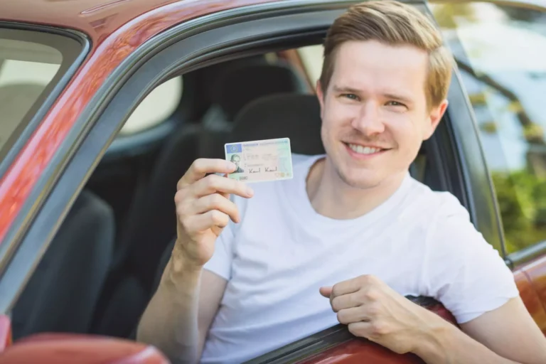 führerschein deutschland gesetz fahrschule
